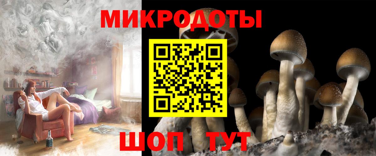 Псилоцибиновые грибы Psilocybe  Галлюциногенные грибы мицелий  Вход с VPN  Гусев 
